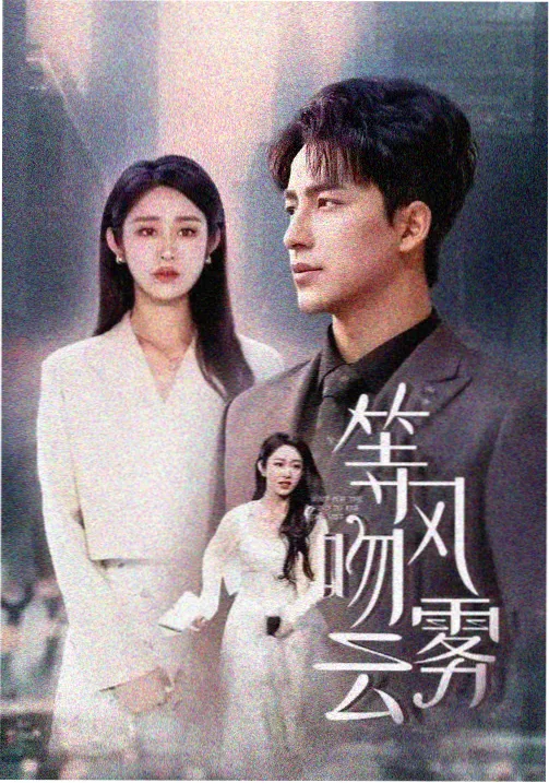 韩国犯罪推理剧沉默的证词在线观看海报